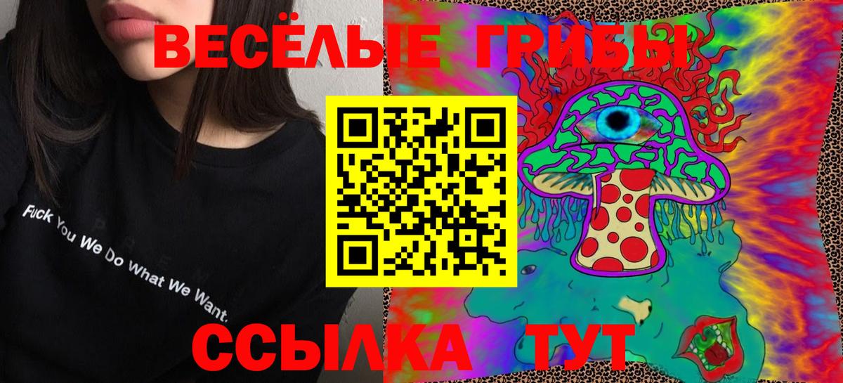 Галлюциногенные грибы Cubensis  Вход с VPN  Ессентуки  Галлюциногенные грибы Psilocybine cubensis 